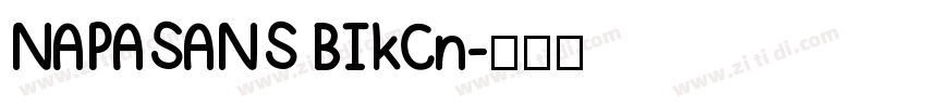 NAPASANS BIkCn字体转换